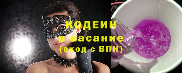 гашик Алексин