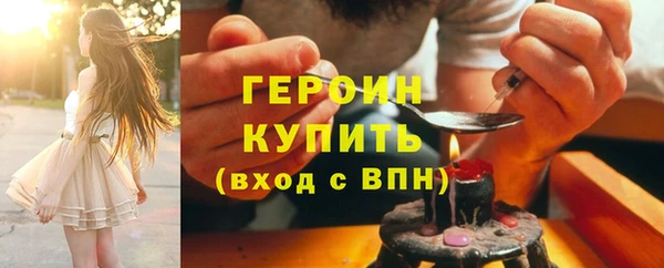 гашик Алексин