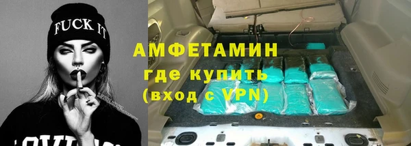 гашик Алексин