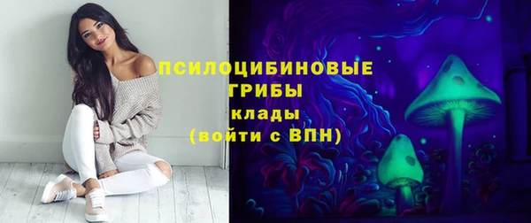 гашик Алексин
