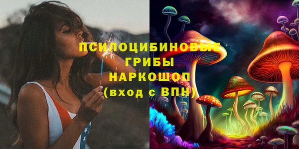 а пвп мука Алзамай