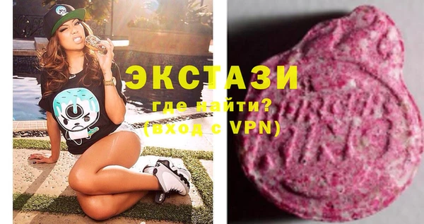 гашик Алексин
