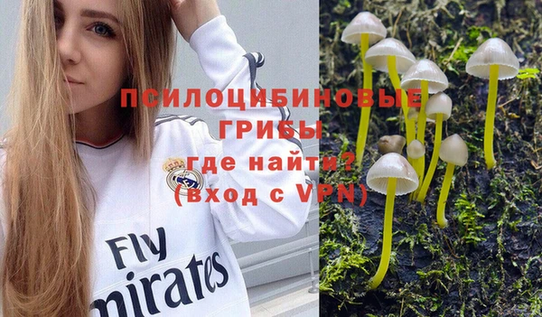 дживик Алексеевка