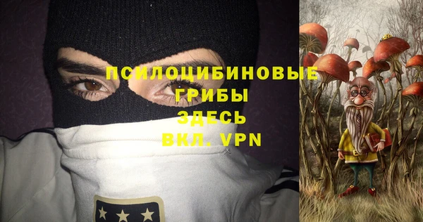 дживик Алексеевка