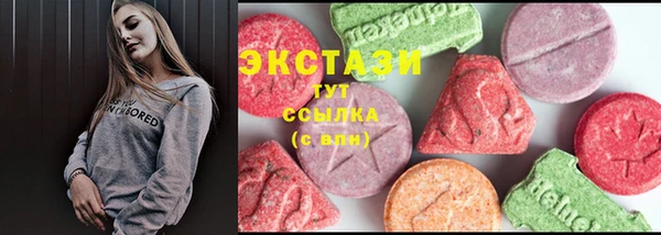 гашик Алексин